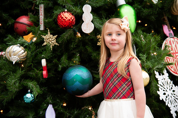 DSC_7284